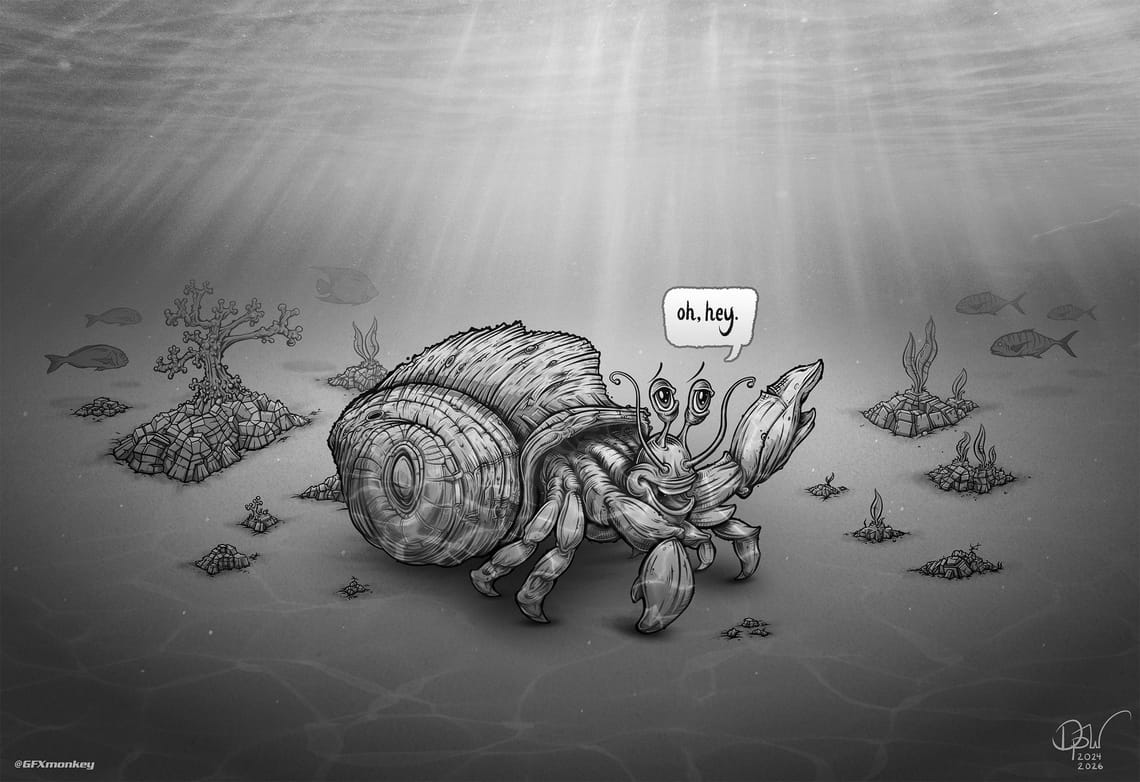 Grayscale drawing of a Hermit Crab out for an underwater walk.