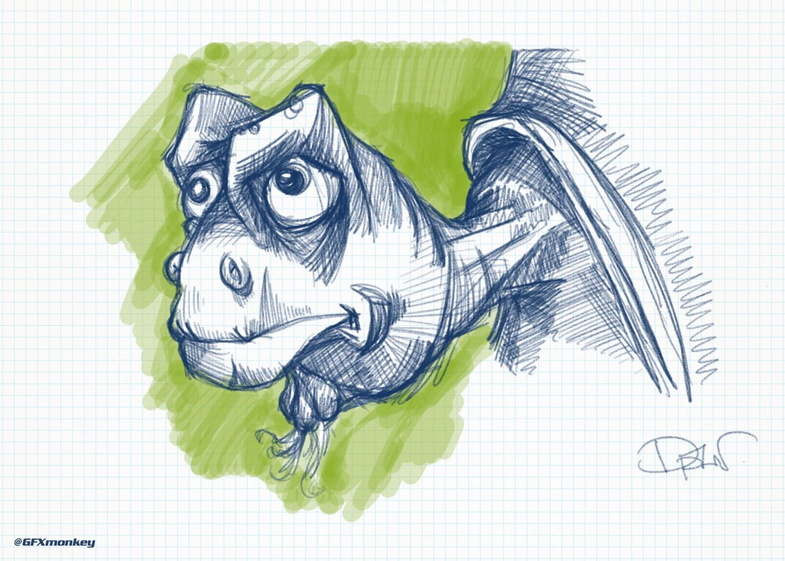 Tortoise Sketch